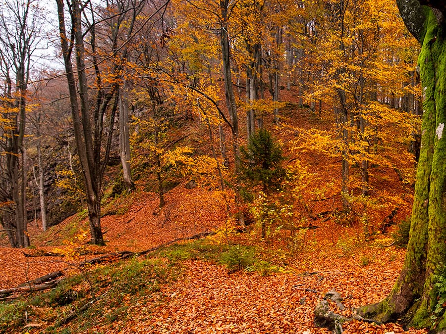 Escultura de los corredores de los San Fermines